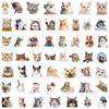 50 Stück Lustige und Trendige Katzen-Meme-Ausdrucks-Graffiti-Aufkleber - Perfekt zum Personalisieren von Gadgets und Zubehör