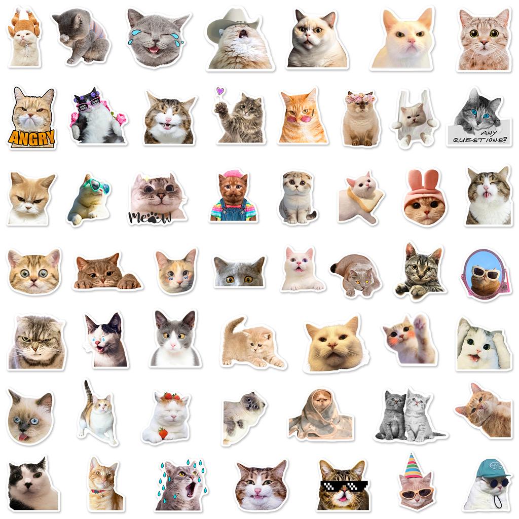 50 Stück Lustige und Trendige Katzen-Meme-Ausdrucks-Graffiti-Aufkleber - Perfekt zum Personalisieren von Gadgets und Zubehör