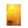 Romantic Dandelion Background Tapestry for Events,Party Banner,Home Decor,Weddings,Photo Booths