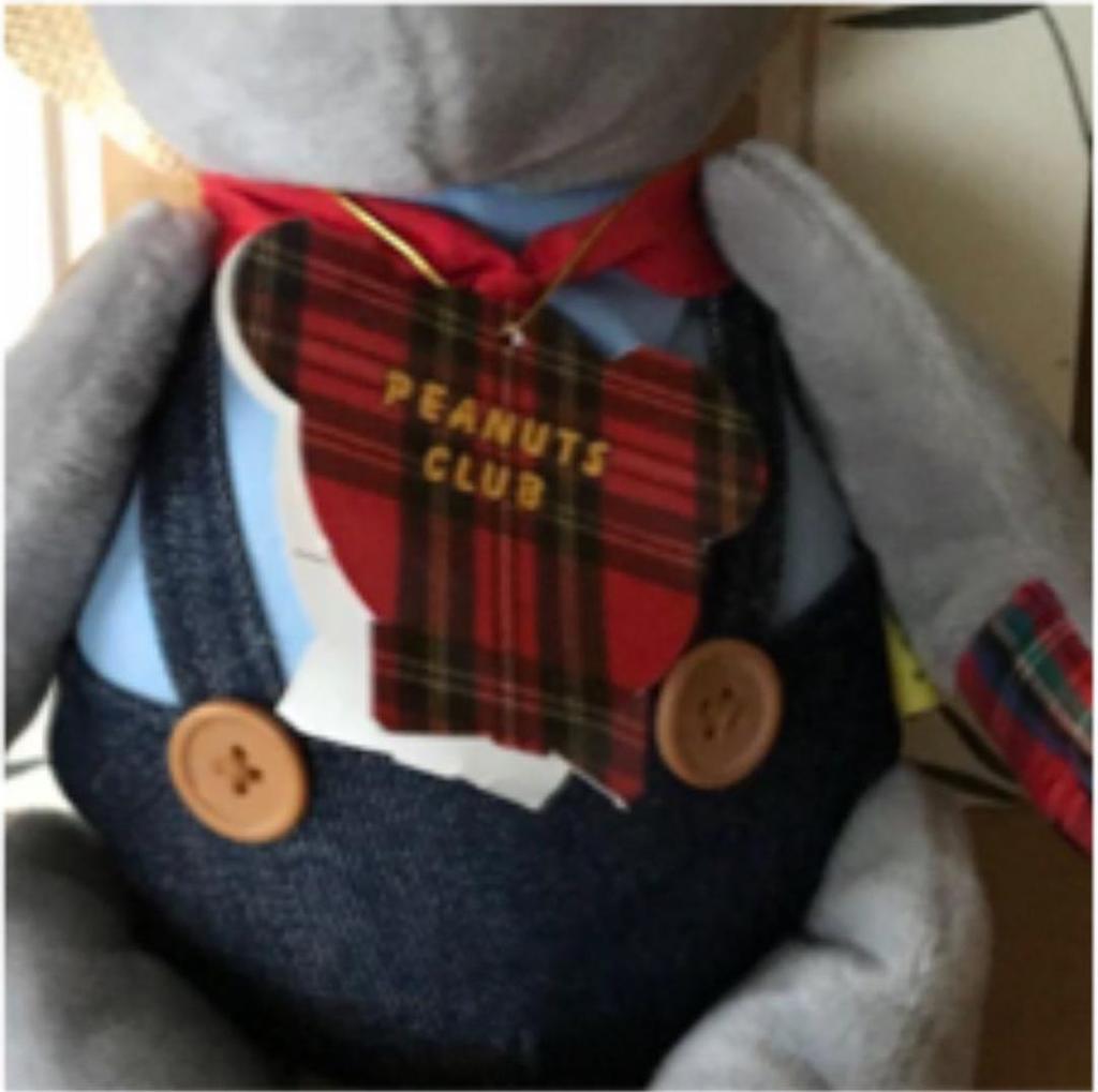 [USED] PEANUTS CLUB Teddy Bear, Soft Fabric, Straw, Mint Condition, with Tag