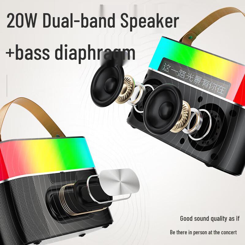 Newmine MC75 Portable Bluetooth Karaoke Speaker with Dual Mics