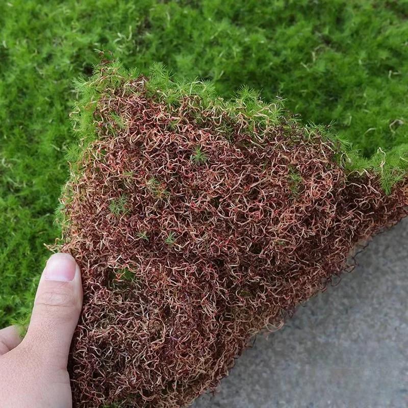 Artificial Moss Turf Simulation Fake Green Grass Moss Carpet Faux Lawn Muscus Bonsai Landscape DIY Outdoor Garden Deocraiton