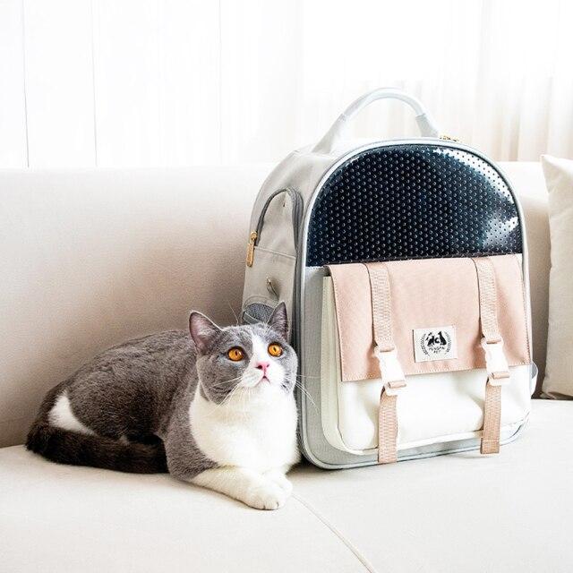 cute cat carrier
