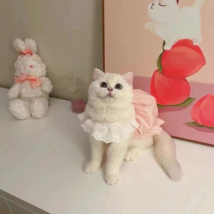 Summer Solid Color Cat Princess Dress Breathable Soft Cat Lace Skirt Elastic Thin Cat Dog Costume