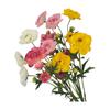 Decorațiuni pentru casă – Flori decorative şi coroane de flori