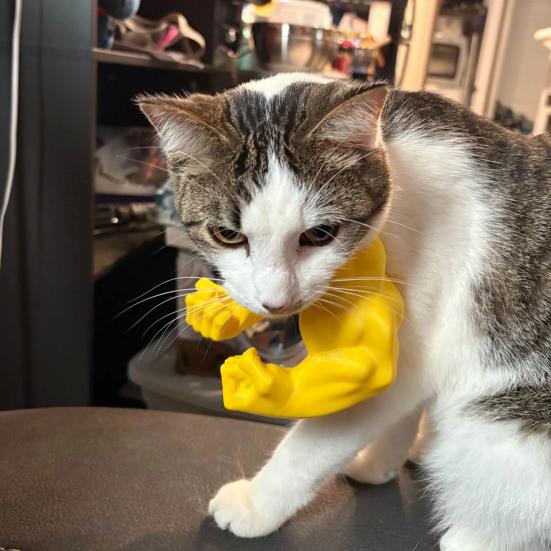 Cat Muscle Arm Costume 3D Printed Cat Neck Arm with Muscle Funny Cat Neck Hanging Decoration Halloween Birthday Party Supplies