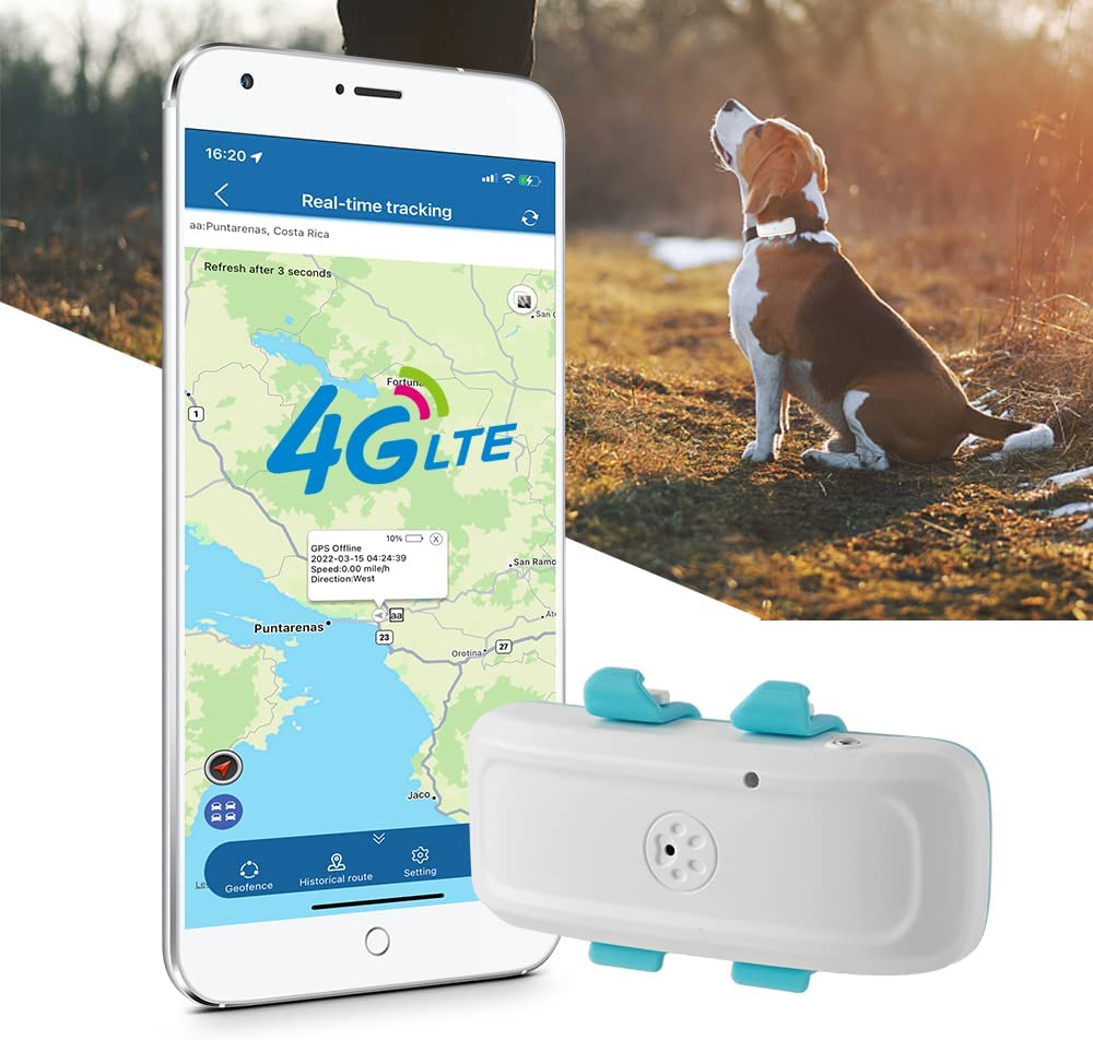 Real-time GPS Tracking for Dog Cat 4G LTE GPS Pet Tracker TK911pro Waterproof Gps with Free APP and Platform Tracking Device