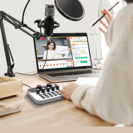 Live Sound Card Mic Echo Knob Funny Sound Effects Voice Changer External Live Broadcasting Singing Audio Mixer Board Studio Supplies