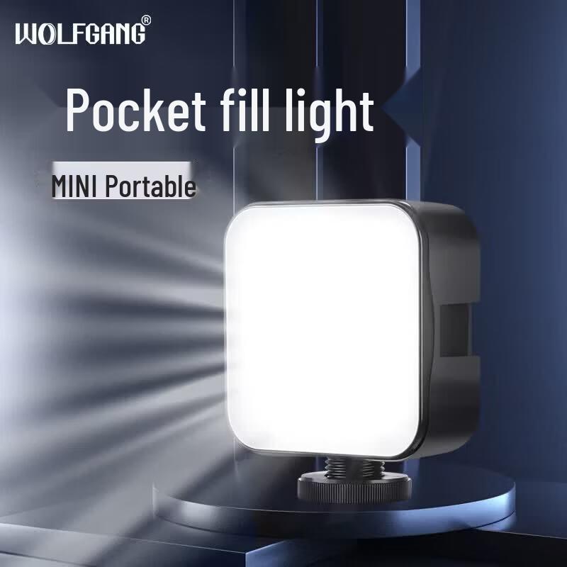 WOLFGANG BGD068 Dual Color Temperature LED Fill Light