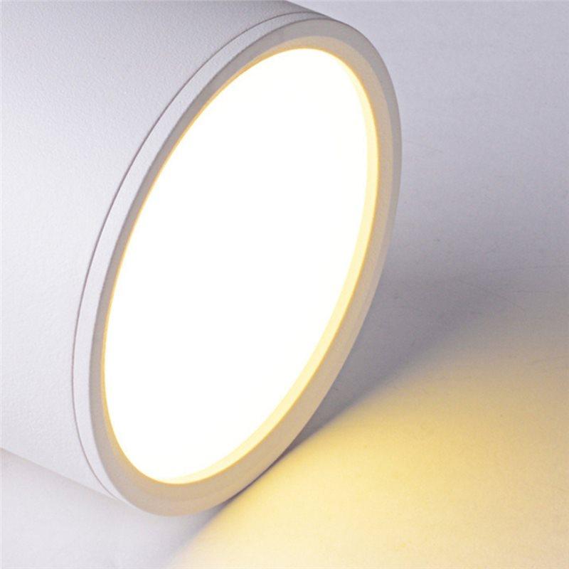 ABFS LED Downlight Mounted Ceiling Downlight Nordic Spot Light For Indoor Foyer,Living Room