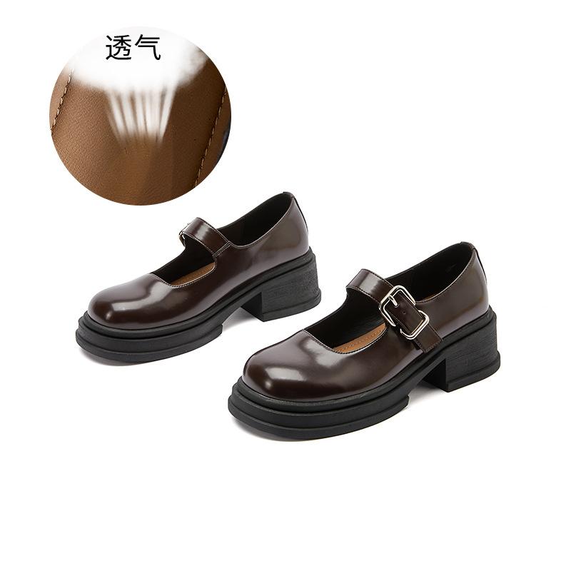 Sheepskin pad Mary Jane shoes women's 2025 spring new shallow mouth single shoes retro British style women's shoes versatile small leather shoes