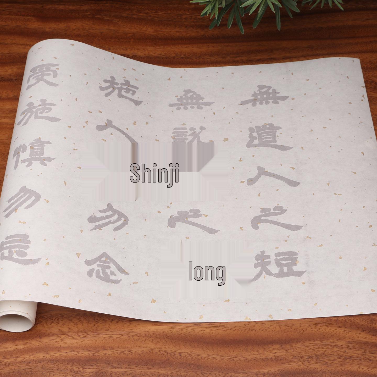 Deng Shiru Lishu Large Characters Calligraphy Practice Book with Red-lined Xuan Paper for Beginners