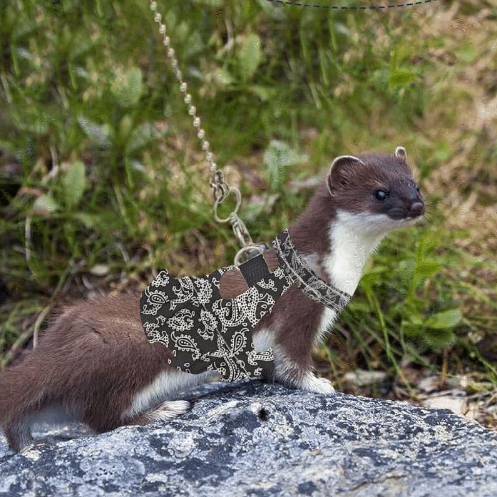 Traction Rope Ferret Harness Vest Floral Pattern Squirrel Floral Skirt  Guinea Pig