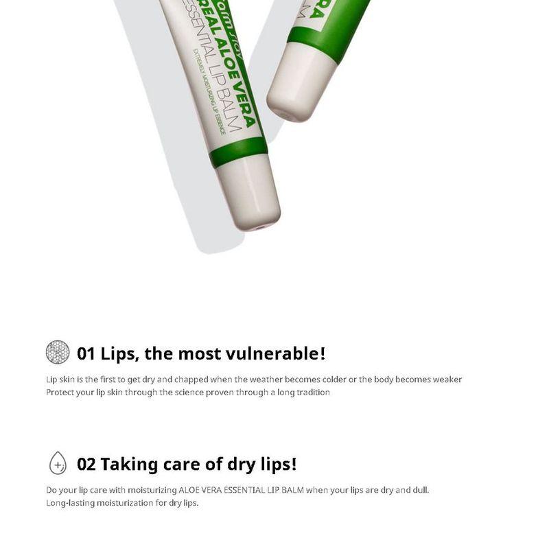 Farm Stay - Real Essential Lip Balm - 3 Types