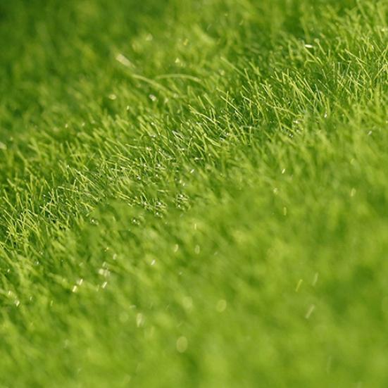 4 Stück grüner Rasen Miniatur Garten Ornament DIY Puppenhaus Pilz Topf Dekoration