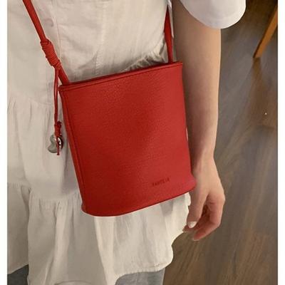 Versatile Ins Small Bag Women's 2025 New Trendy Spring and Summer Fashion Simple Bucket Bag Casual Commuter Messenger Bag