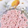 Pink Series Dried Rose Nail Art Accessories Pure Desire Rose Carving DIY Earrings Hair Clips Resin Nail Art Material Kit
