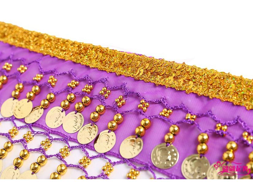 Indian Belly Dance Coin Waist Chain for Performance and Practice