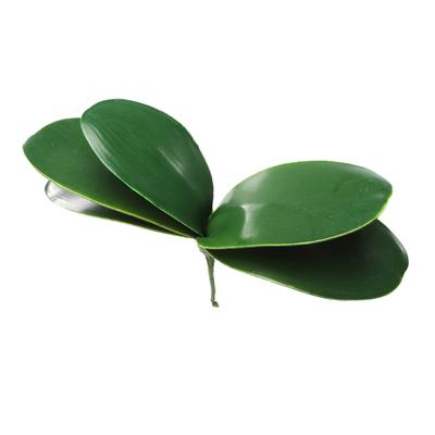 Liście Phalaenopsis Liście Orchidei Ślub Dekoracja Domu Rośliny Symulacyjne