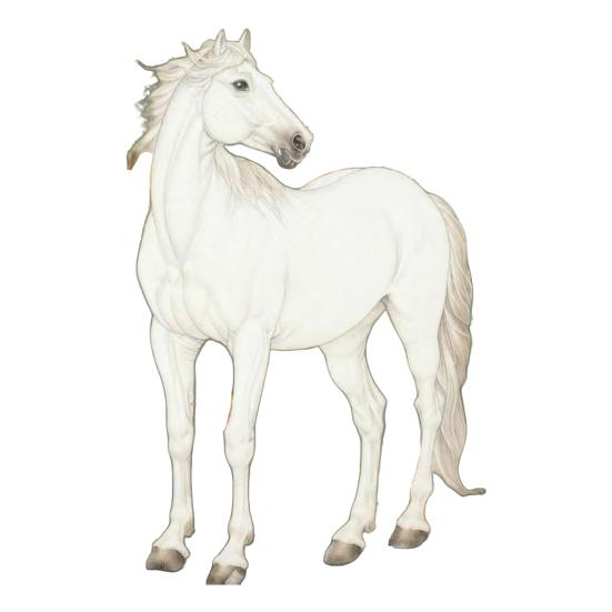 Pferd Ornament Acryl 2D Flach Realistisch Fliegendes Pferd Weihnachtsbaum Anhänger mit Funkelndem Strassstein Zuhause