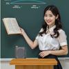Wireless Microphone Loudspeaker Portable Voice Amplifier with Lavalier Teaching & Streaming Clip-on Bluetooth Speaker