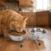 Anti-leak Stainless Steel Pet Bowl Durable Pet Drinking Bowl Cat Double Bowl  Pet Feeding