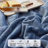 Winter Plush Coral Fleece Bed Sheet and Blanket Three-Piece Set - Thickened, Non-Slip, Perfect for Dorms