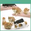 Childrens Pvc Realistic Cat Animal Model Toy For Educational Play And Collecting