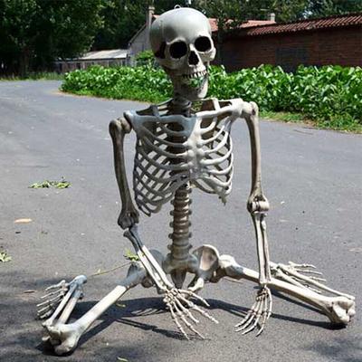 Full Life Size Human Skeleton Halloween Party Decoration Hanging Props 90CM Halloween Movable Skeleton Halloween Ornament Toys