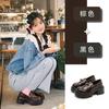 Foam Bottom Sheepskin Pad Small Leather Shoes Women's 2025 Autumn New British Style Loafers Casual Versatile Retro Women's Shoes