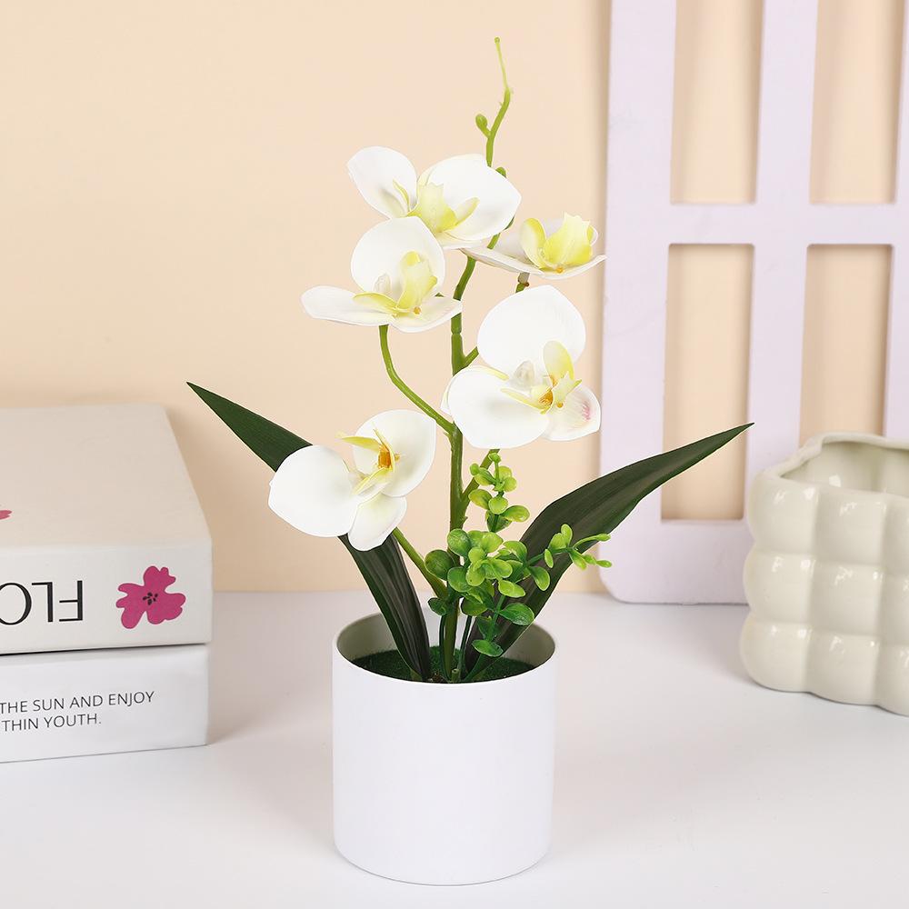 5 Plantas Simuladas de Phalaenopsis en Maceta para Decoración de Hogar y Oficina Plantas Pequeñas en Maceta Falso Bonsái Plantas Verdes
