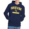 Star Trek Mens Fight Hoodie