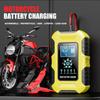 12V/10A 24V/5A Smart Charger for Iron Lithium, GEL, Lead-Acid, AGM, LiFePo4 Motorcycle and Car Batteries.