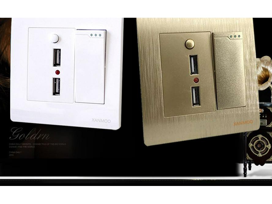 Type 86 Wall Single Pole Double Throw Switch with Dual USB Socket for Household