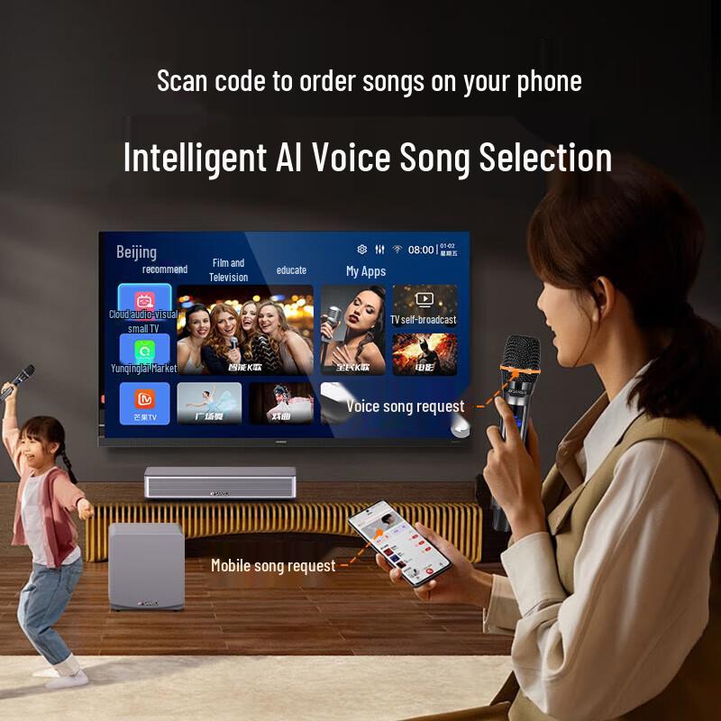 Sansui Home Theater KTV Soundbar System CN plug (adapter included)