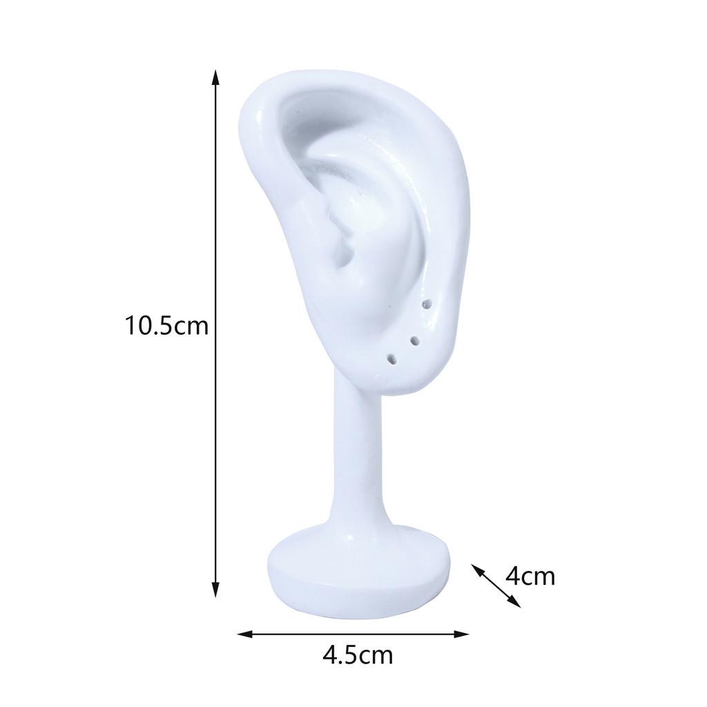 Resin Portable Earring Display Stand Jewelry Rack Ear Shaped Ear Studs Organizer Holder Rack for Earrings Earrings Display Tool