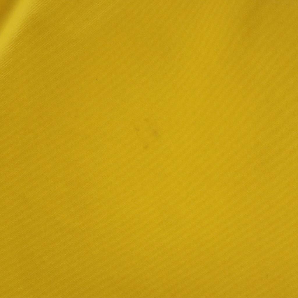AFDICEGEAR Skiing Gore-Tex Jacket M Yellow Men's Used