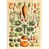 Arte Murale Classica Vintage Piante Fungo Fiore Medicinale Insetto Farfalla Verdura Zucca Carota Tela Poster ad Olio e Stampe