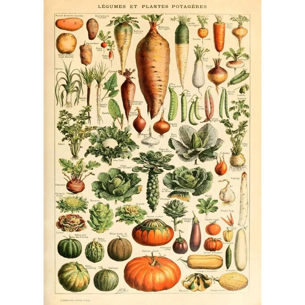 Arte Murale Classica Vintage Piante Fungo Fiore Medicinale Insetto Farfalla Verdura Zucca Carota Tela Poster ad Olio e Stampe
