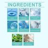 Oralhoe This Toothpaste Gently Cleans Stains And Tartar On Teeth, Freshens Breath, Protects Gums And Teeth. It Is An Oral Care Toothpaste