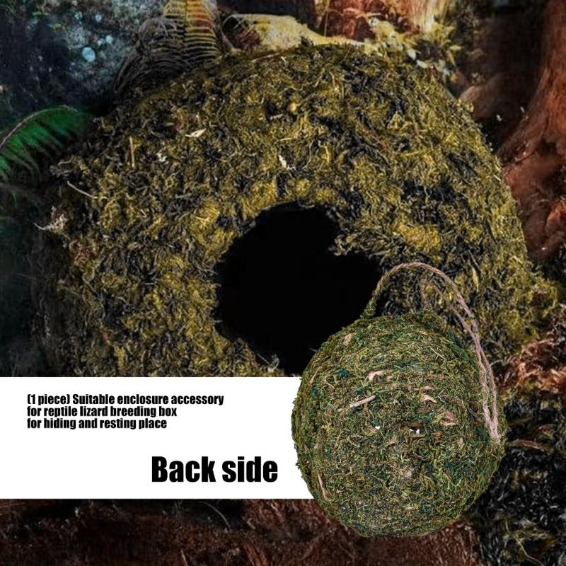 Atmungsaktive Reptilienverstecke Platz Moos Höhle Unterschlupf Hängende Hängematte Bett für Eidechsen Sicherer Ruhebereich für Amphibien