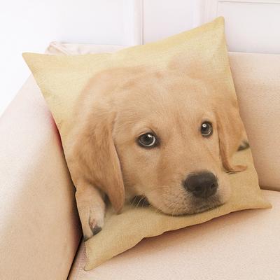 Housse de coussin décorative avec un animal mignon, 45 cm (18 pouces), pour canapé ou autre canapé.