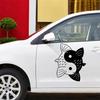 Fashion Yin And Yang Animals Car Sticker Styling Engine Hood Motorcycle Decal Decor Mural Vinyl Covers Autosticker Car-Styling