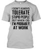 Cool I Dont Always Tolerate Stupid People But T-Shirt Made In USA S To 5XL