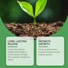 Plant Nutrient Fertilizer Effervescent Tablets Organic Release Fertilizer Tablets Green Plant Nutrient Fertilizer Effervescent Tablets