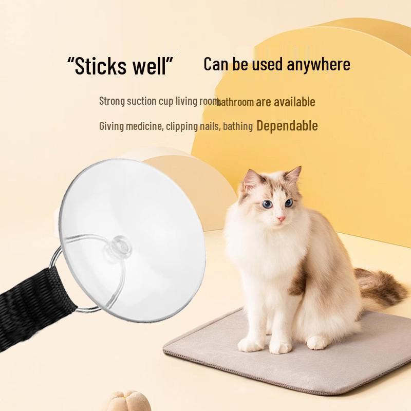 Haustier-Badefixierer: Verhindert Kratzer, Bisse & Kämpfe mit Einführungsrabatt!