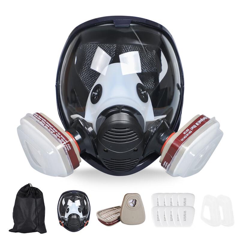 Brangdy Full Face Gas Mask Respirator Set One Size