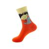 Oil painting medium tube socks European and American adult socks Women's trend stockings Men's autumn and winter cotton socks