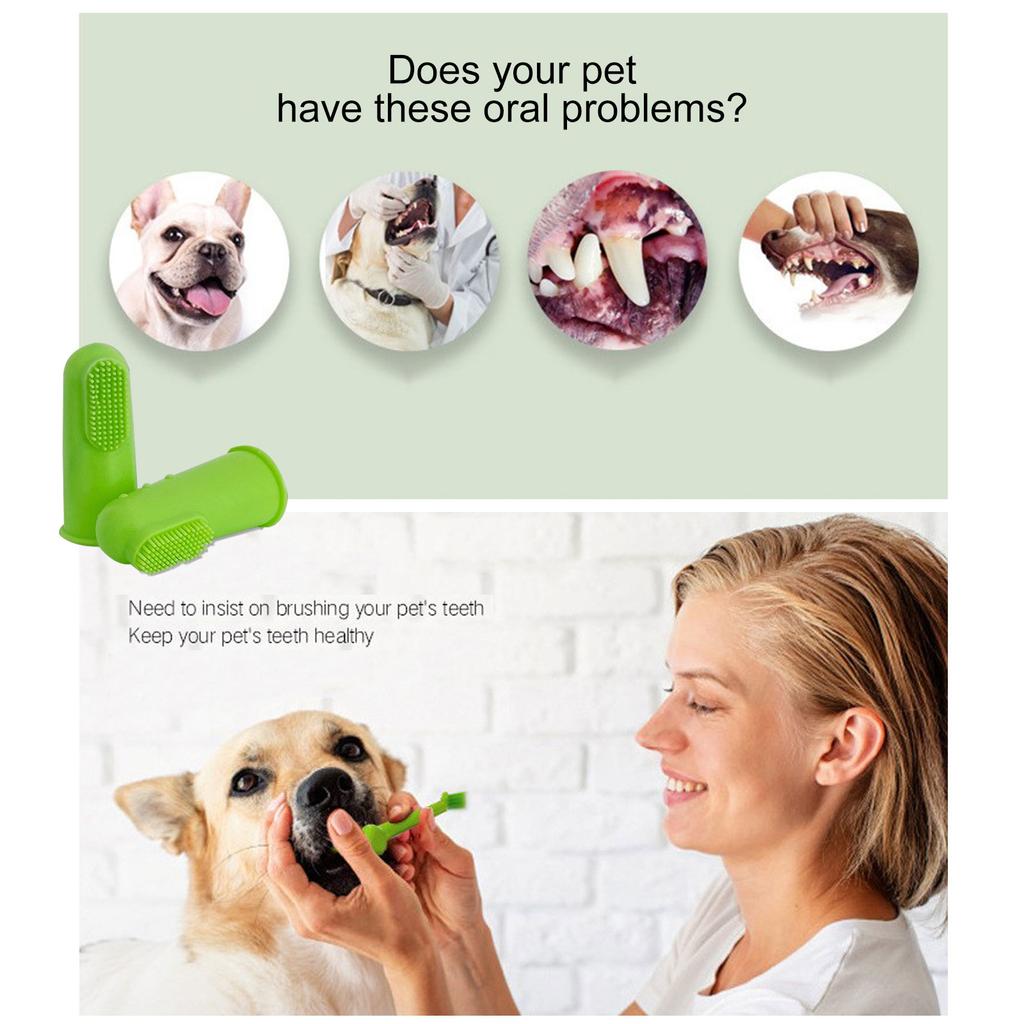 dog toothbrush set