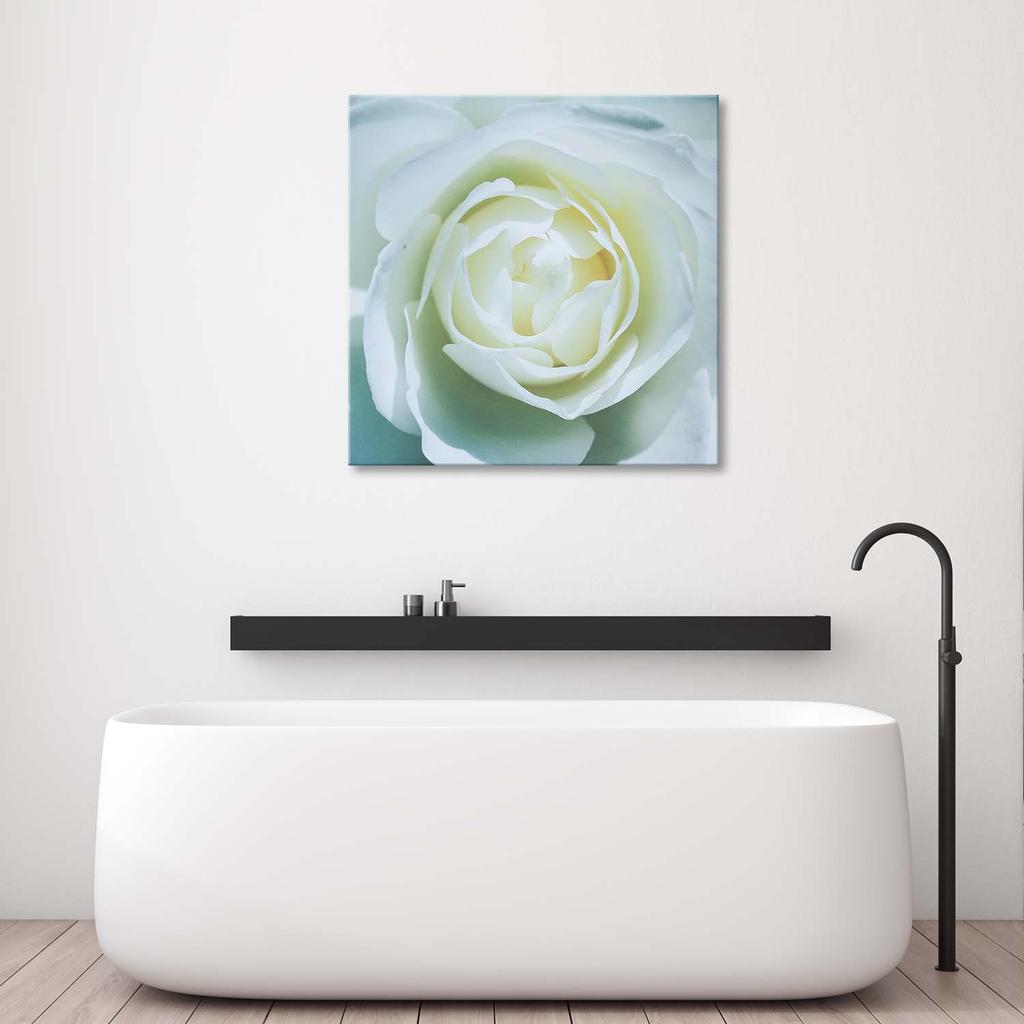Canvas Print White Rose Flower Nature